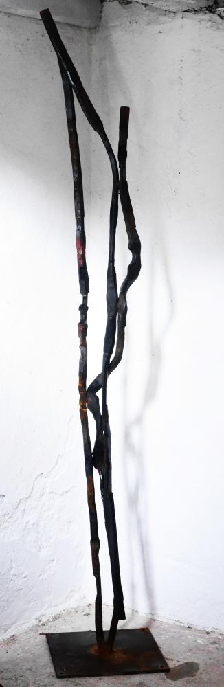 P1030549